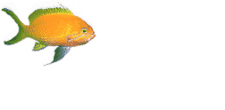 fishing ?