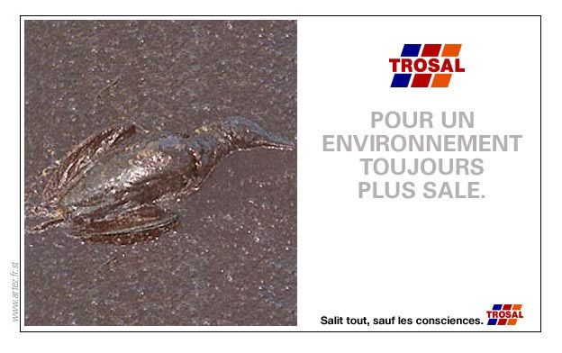 Erika : environnement trop sale